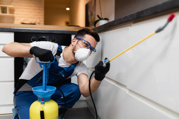 Best Pest Inspection Near Me  in Virginia, MN