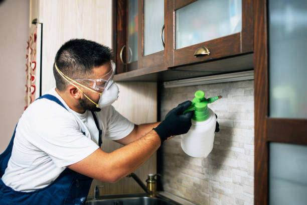 Best Affordable Pest Control Services  in Virginia, MN