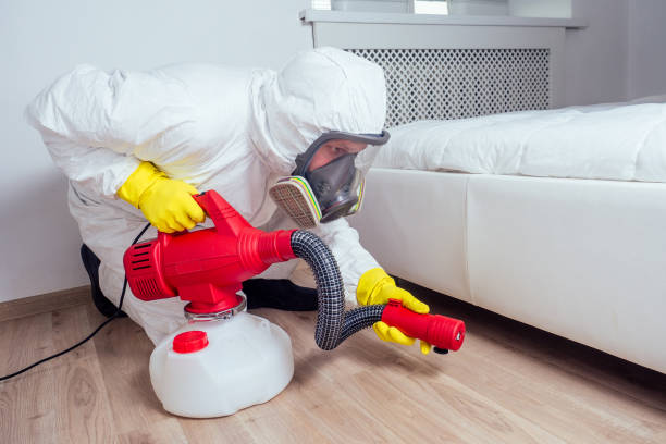Reliable Virginia, MN Pest Control Solutions