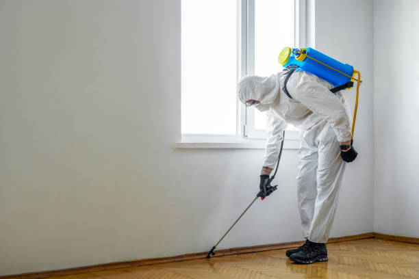 Best Best Pest Control Companies  in Virginia, MN
